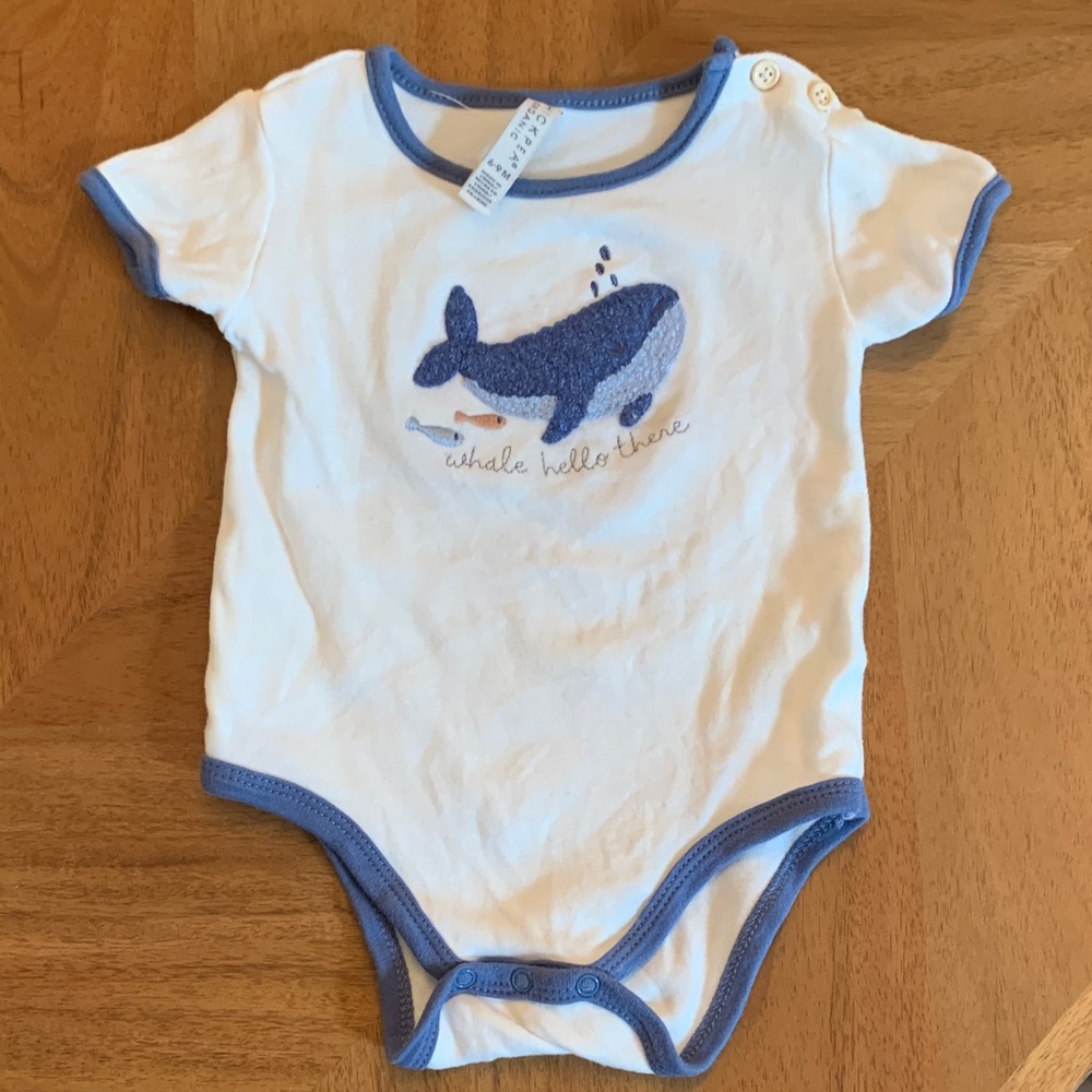 Chickpea Organic Baby embroidered Onesie - “Whale Hello There”